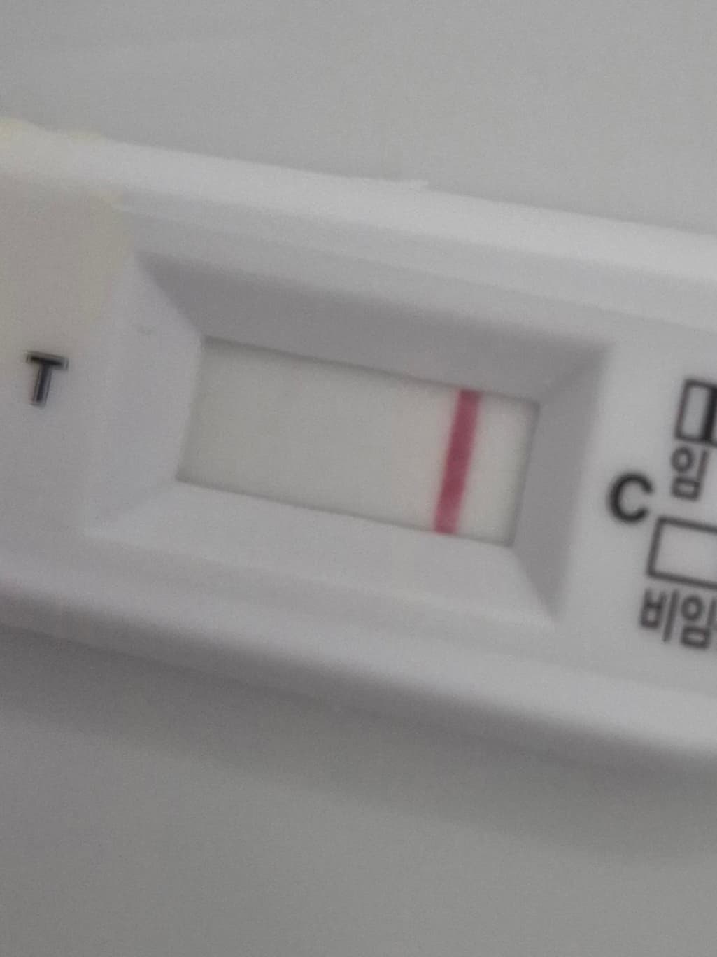 2번 째 사진