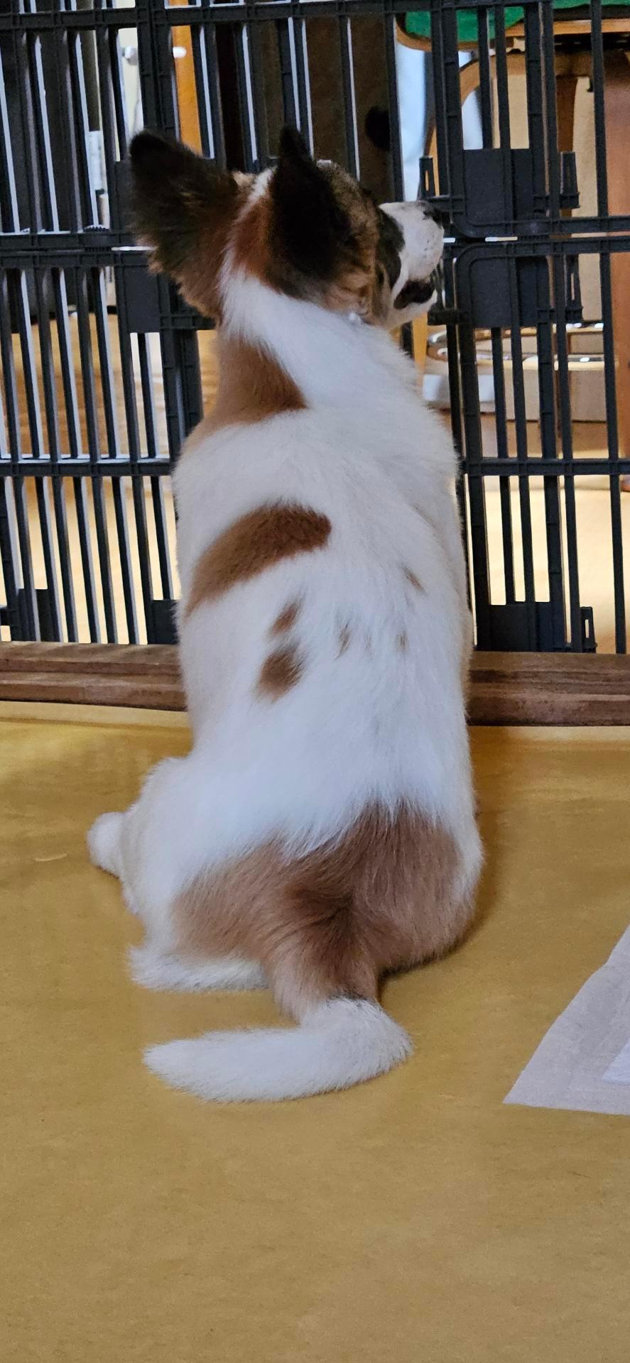 2번 째 사진