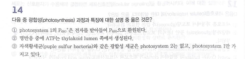 2번 째 사진