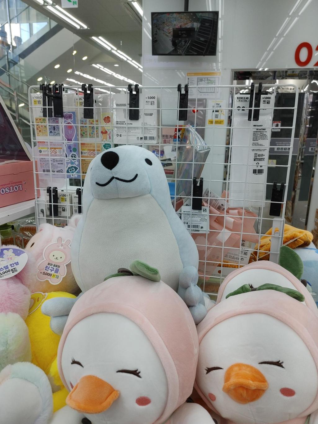 3번 째 사진