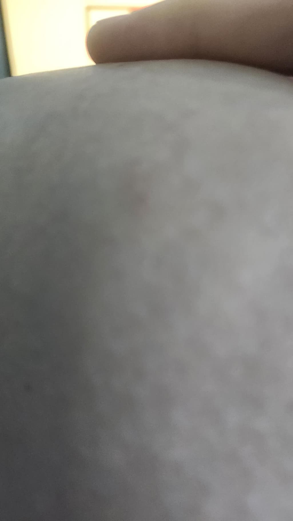 2번 째 사진