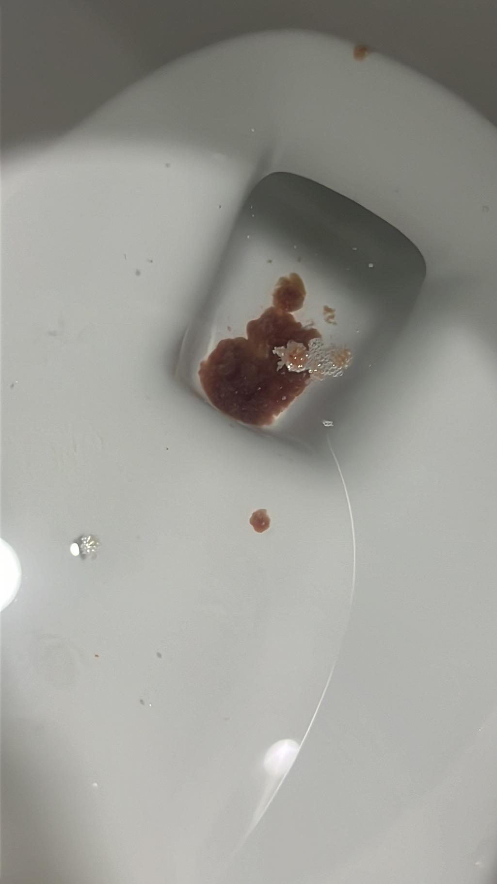 2번 째 사진