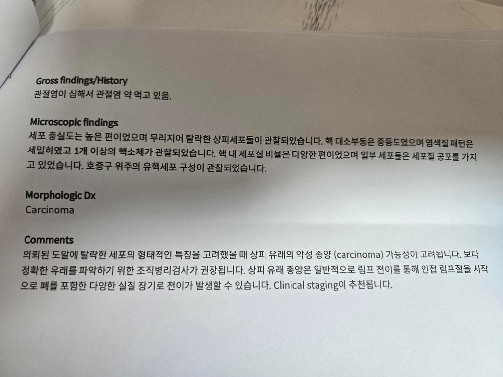 5번 째 사진