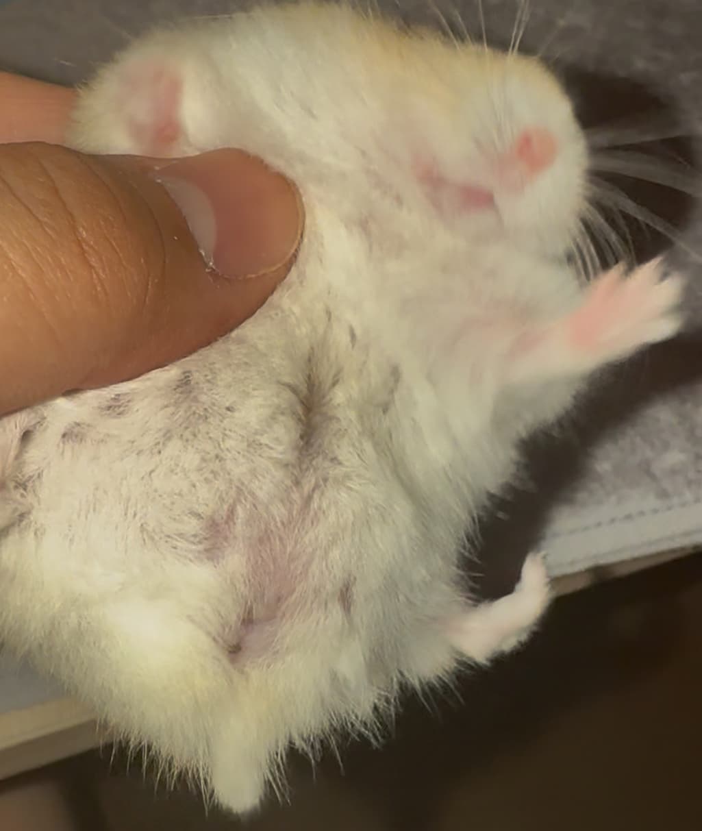 2번 째 사진