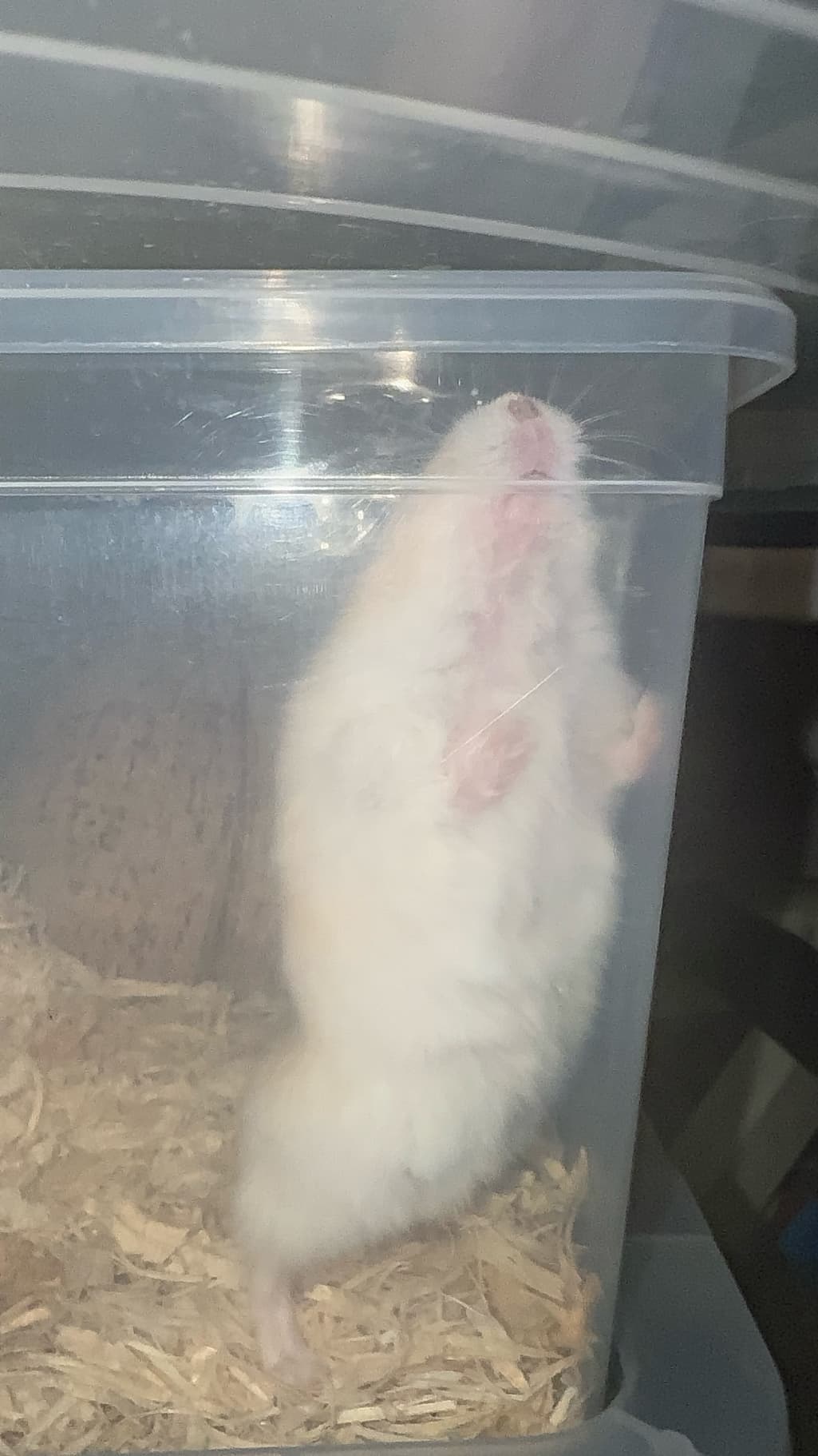 5번 째 사진