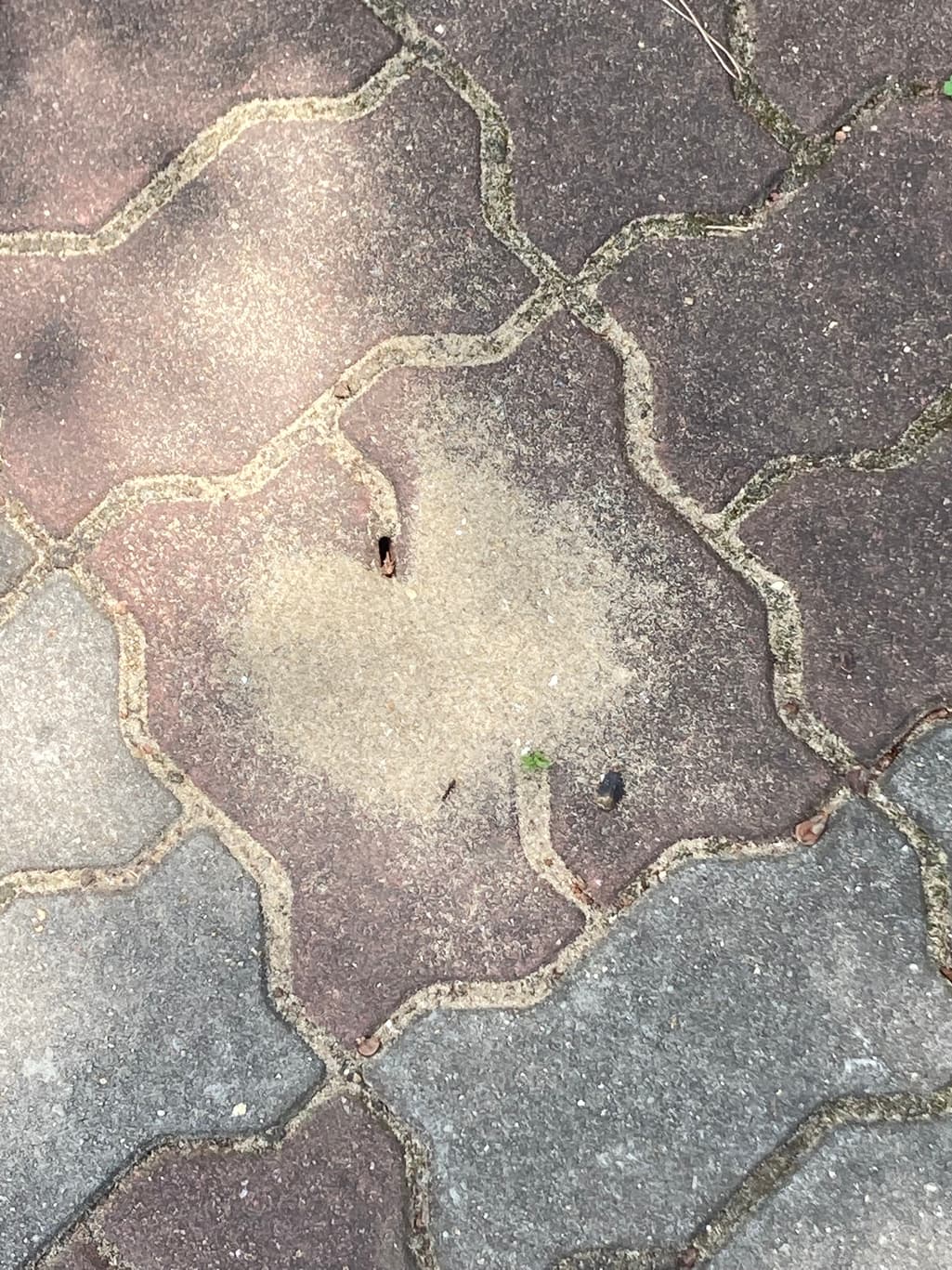 3번 째 사진