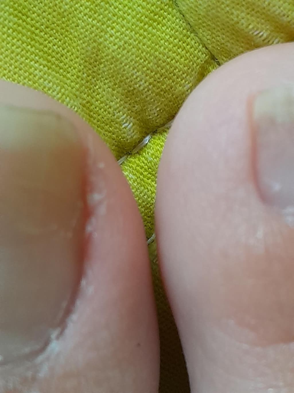 7번 째 사진