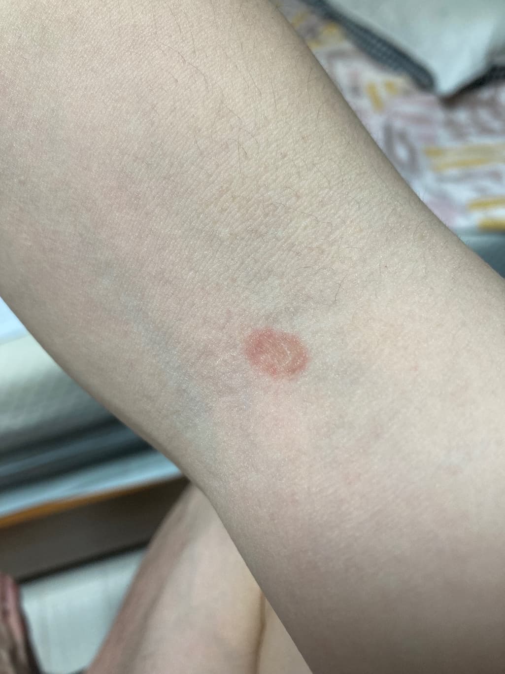 3번 째 사진