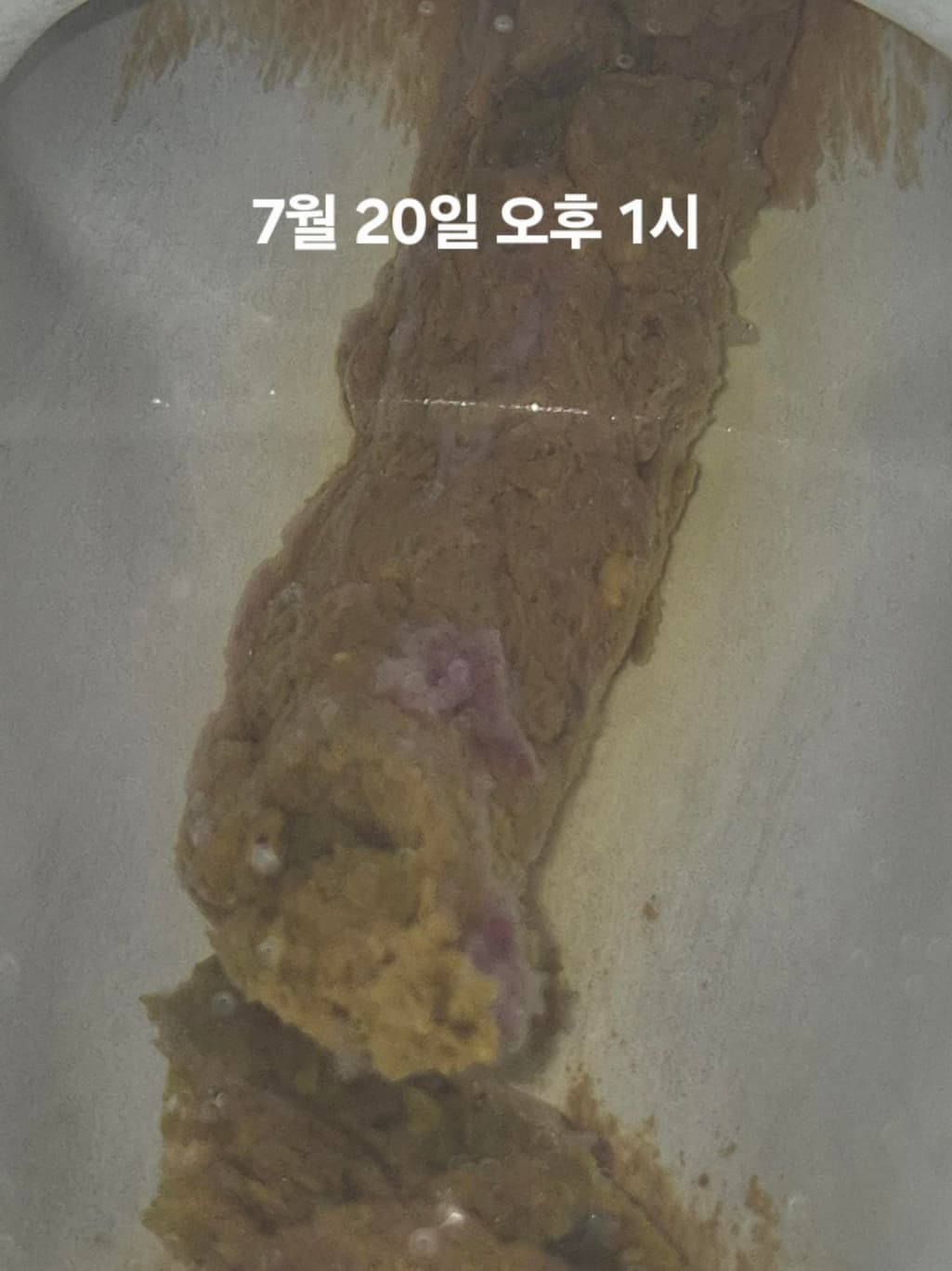 6번 째 사진