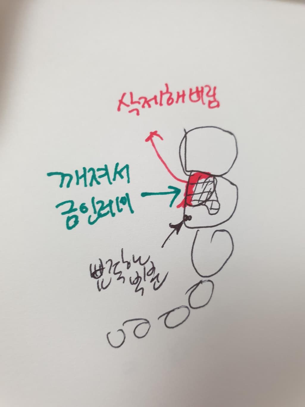 1번 째 사진