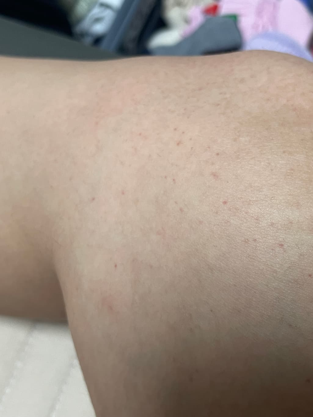 4번 째 사진