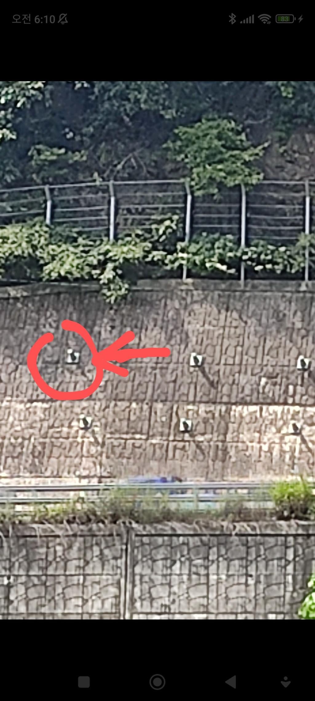 2번 째 사진