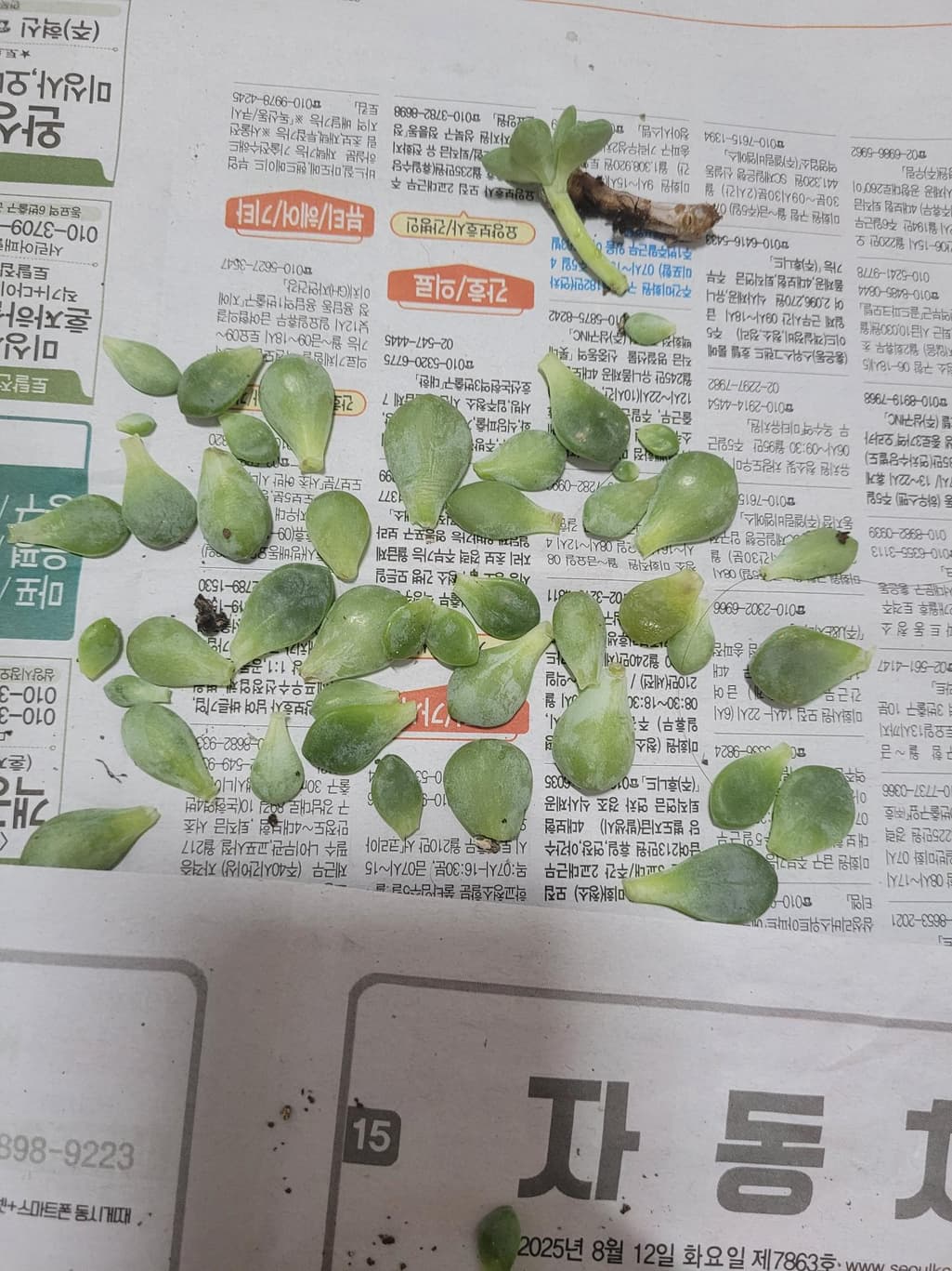 1번 째 사진