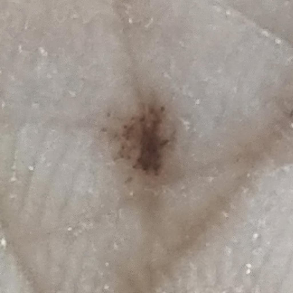 3번 째 사진