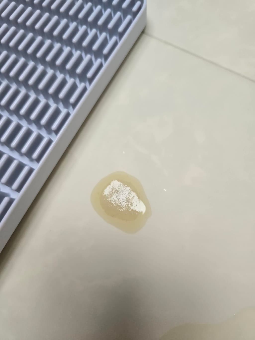 2번 째 사진