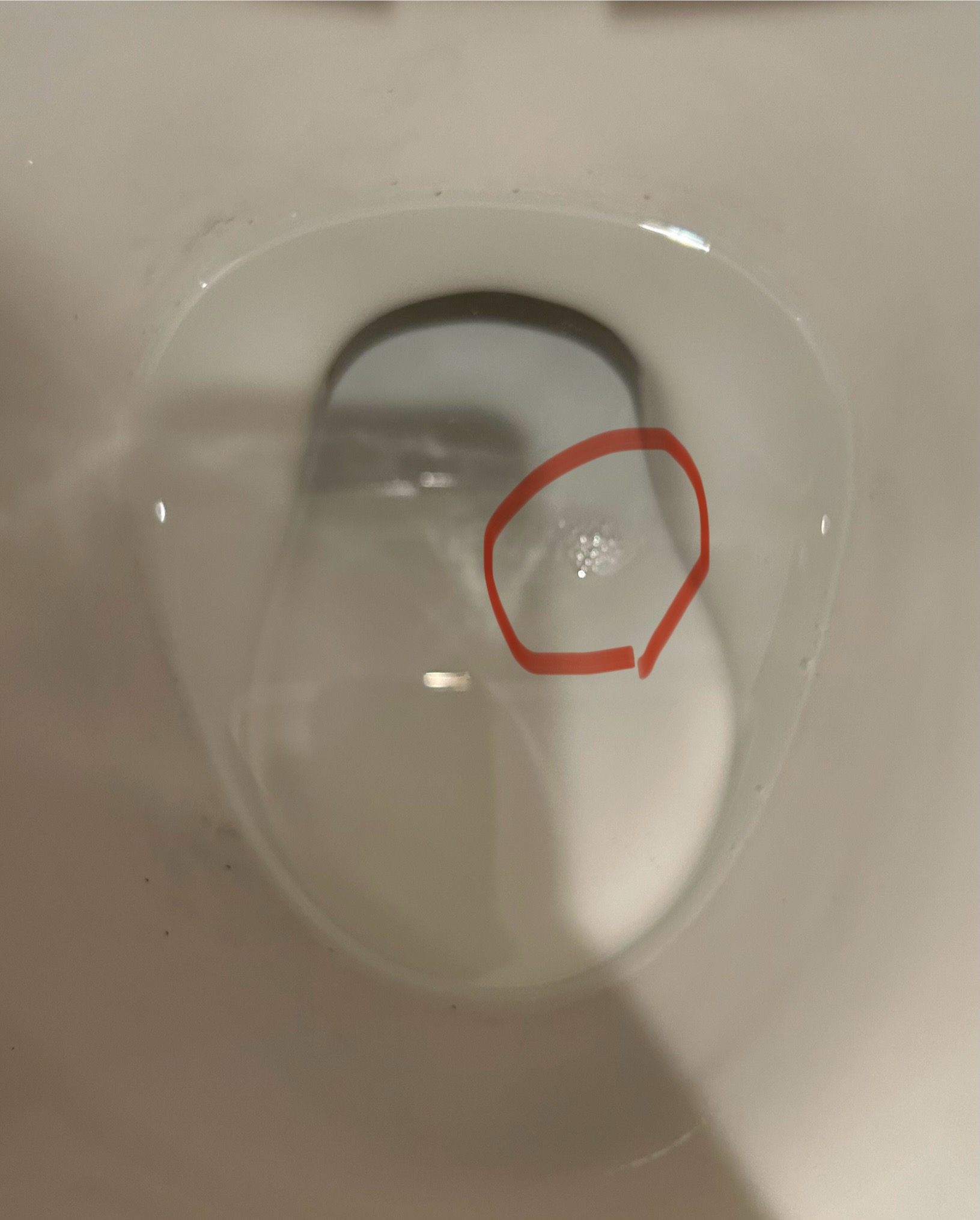 2번 째 사진
