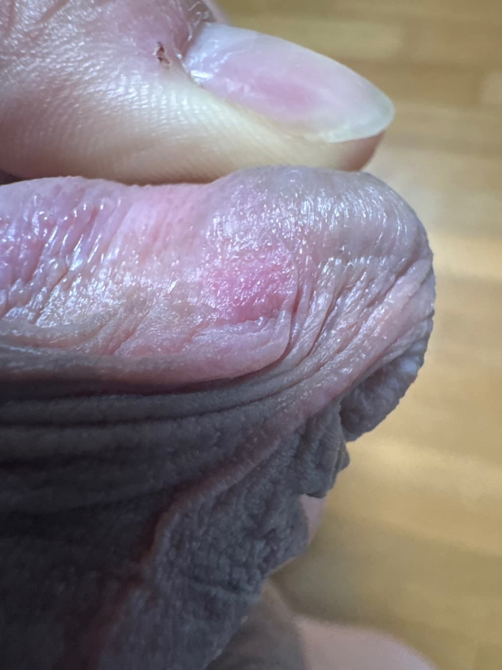 1번 째 사진