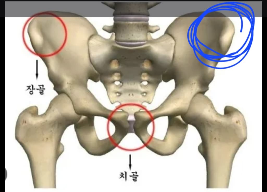 2번 째 사진