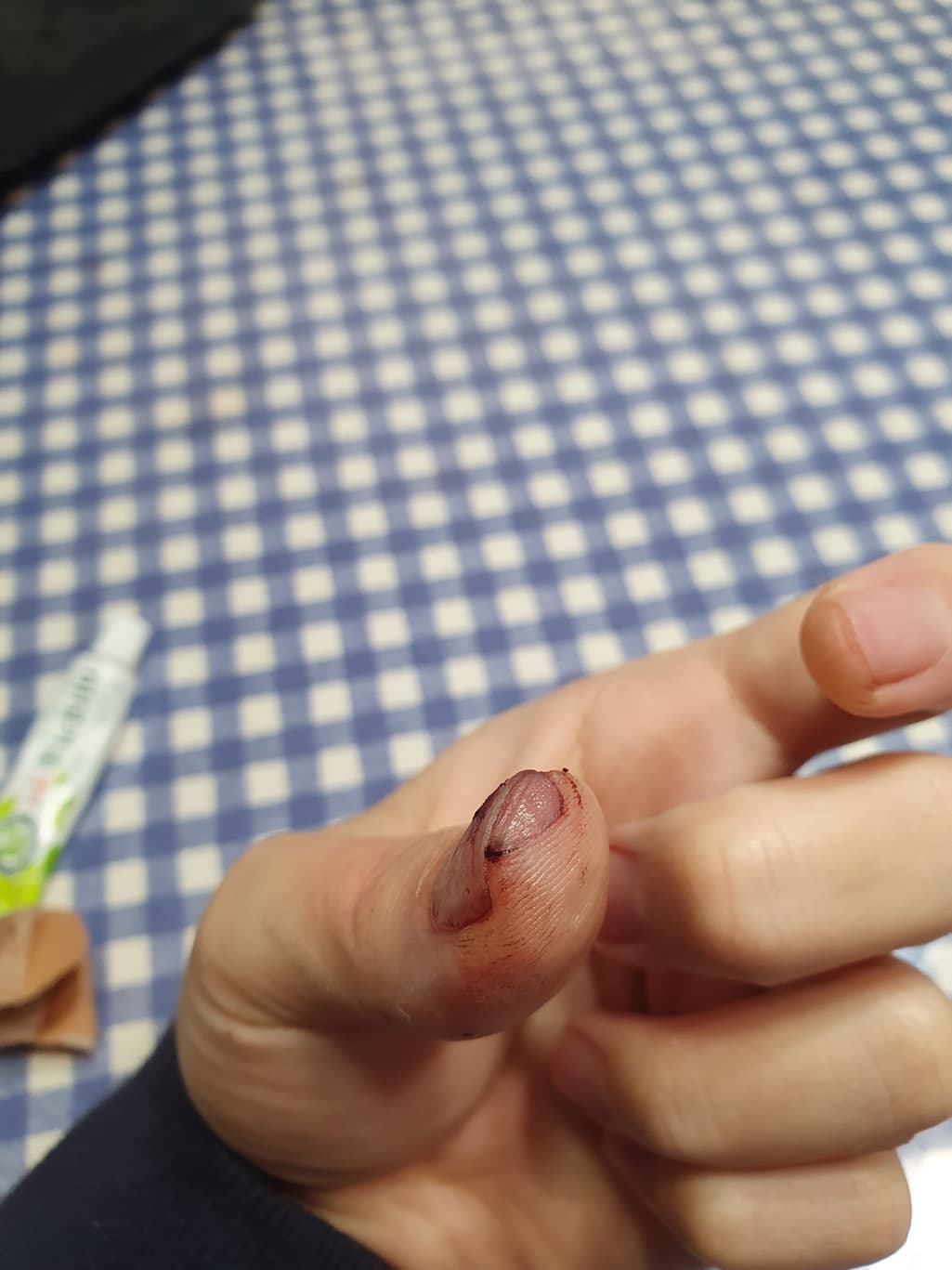 3번 째 사진