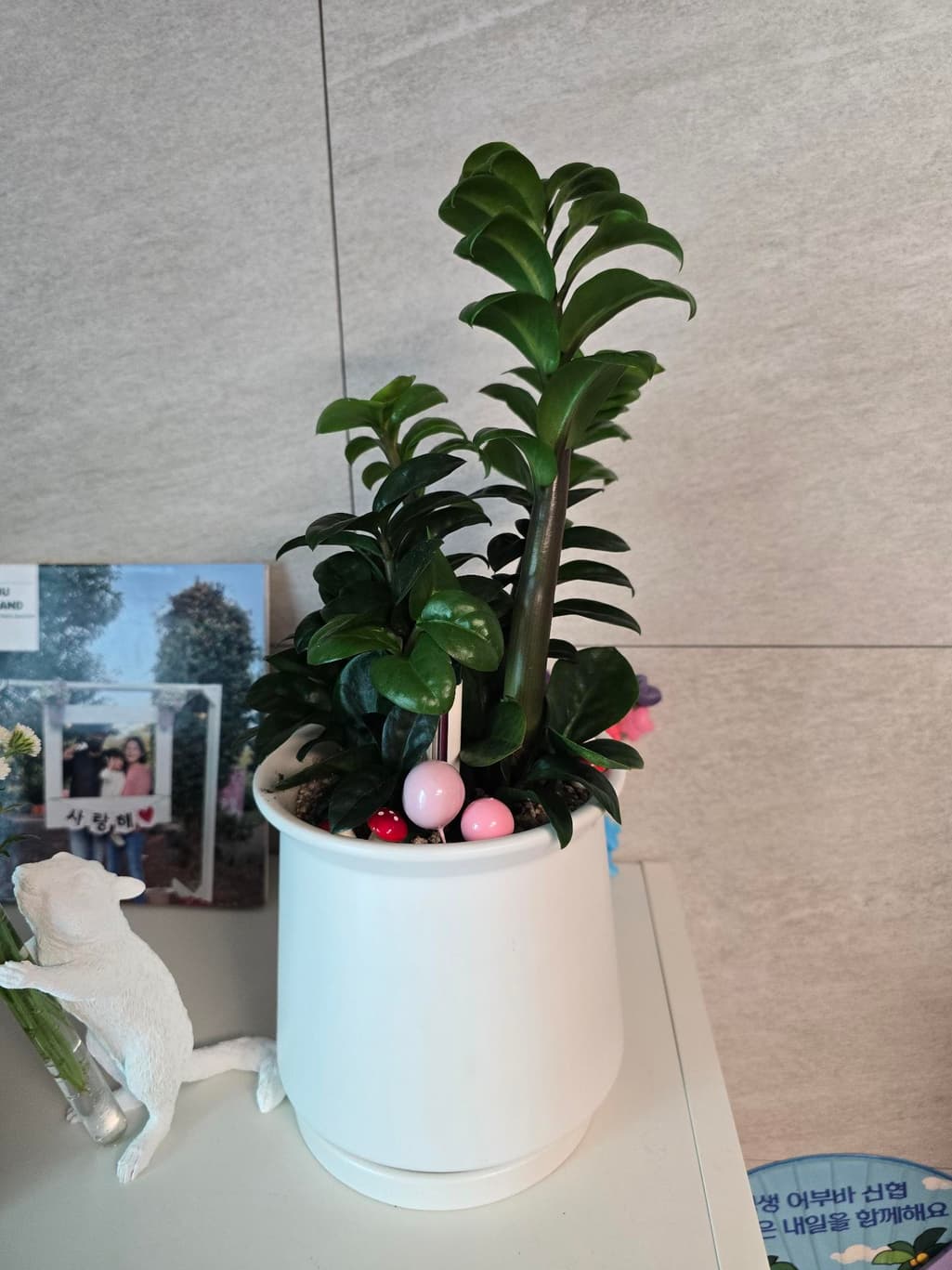 2번 째 사진