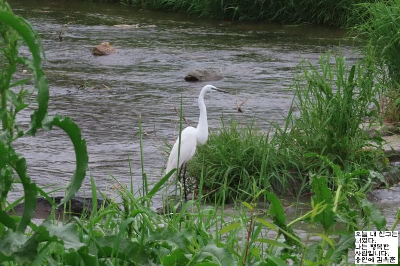 3번 째 사진