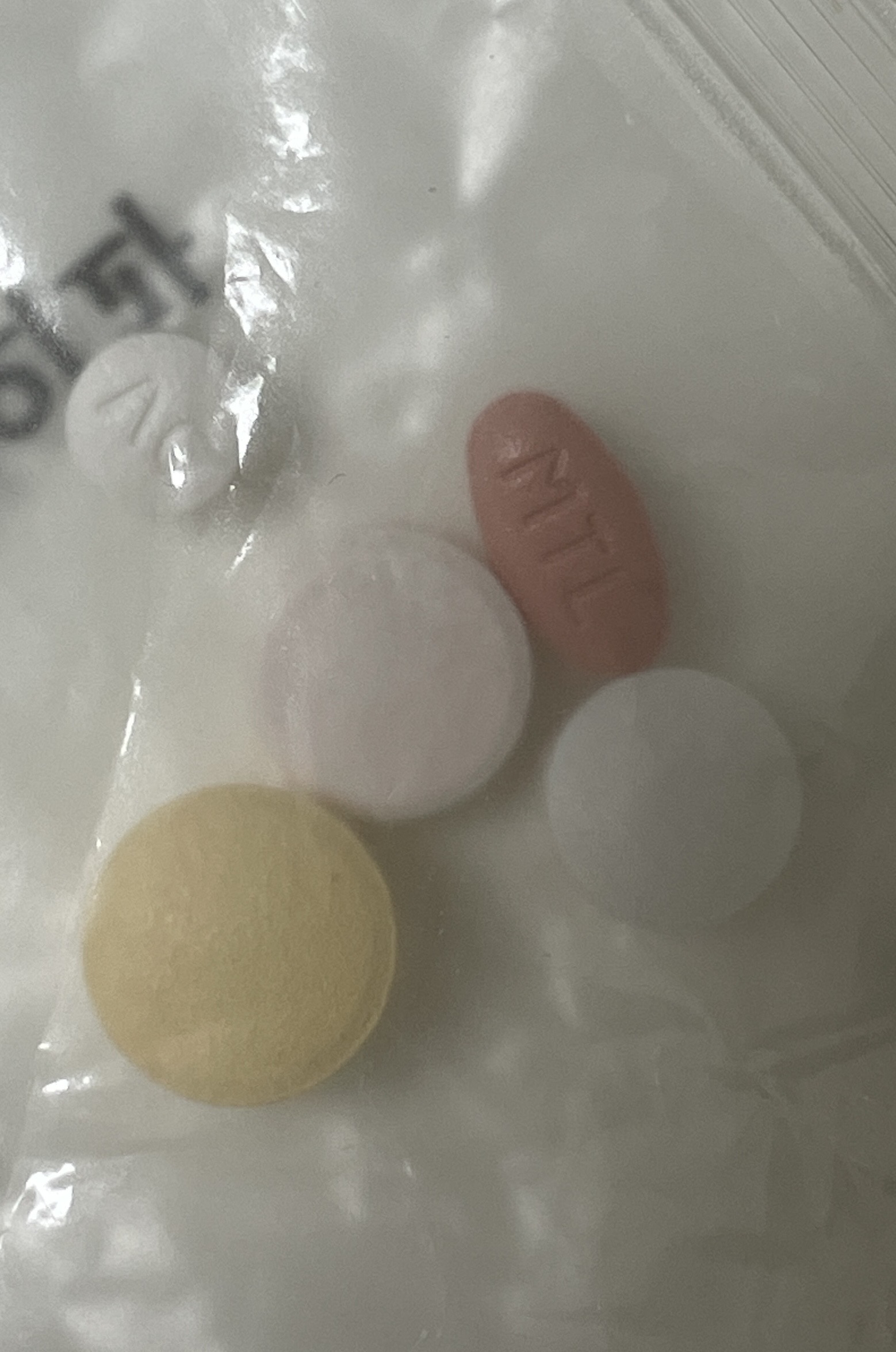 2번 째 사진