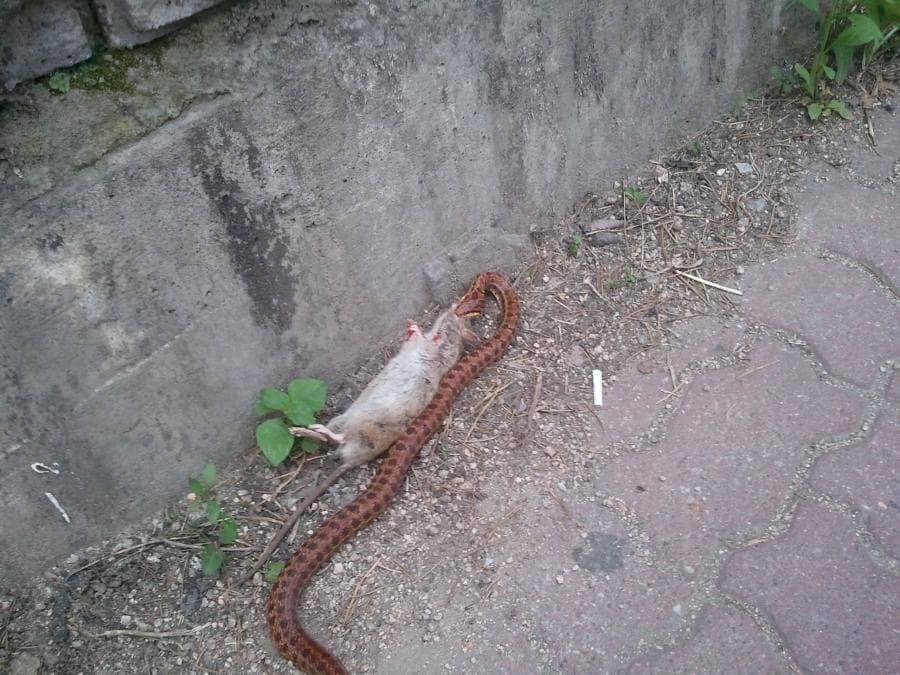 7번 째 사진