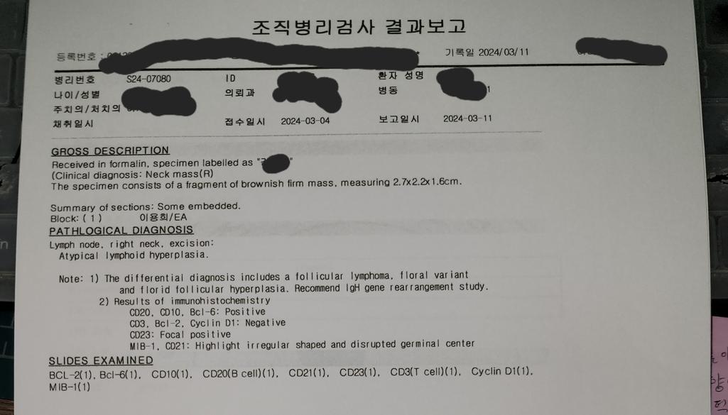 4번 째 사진