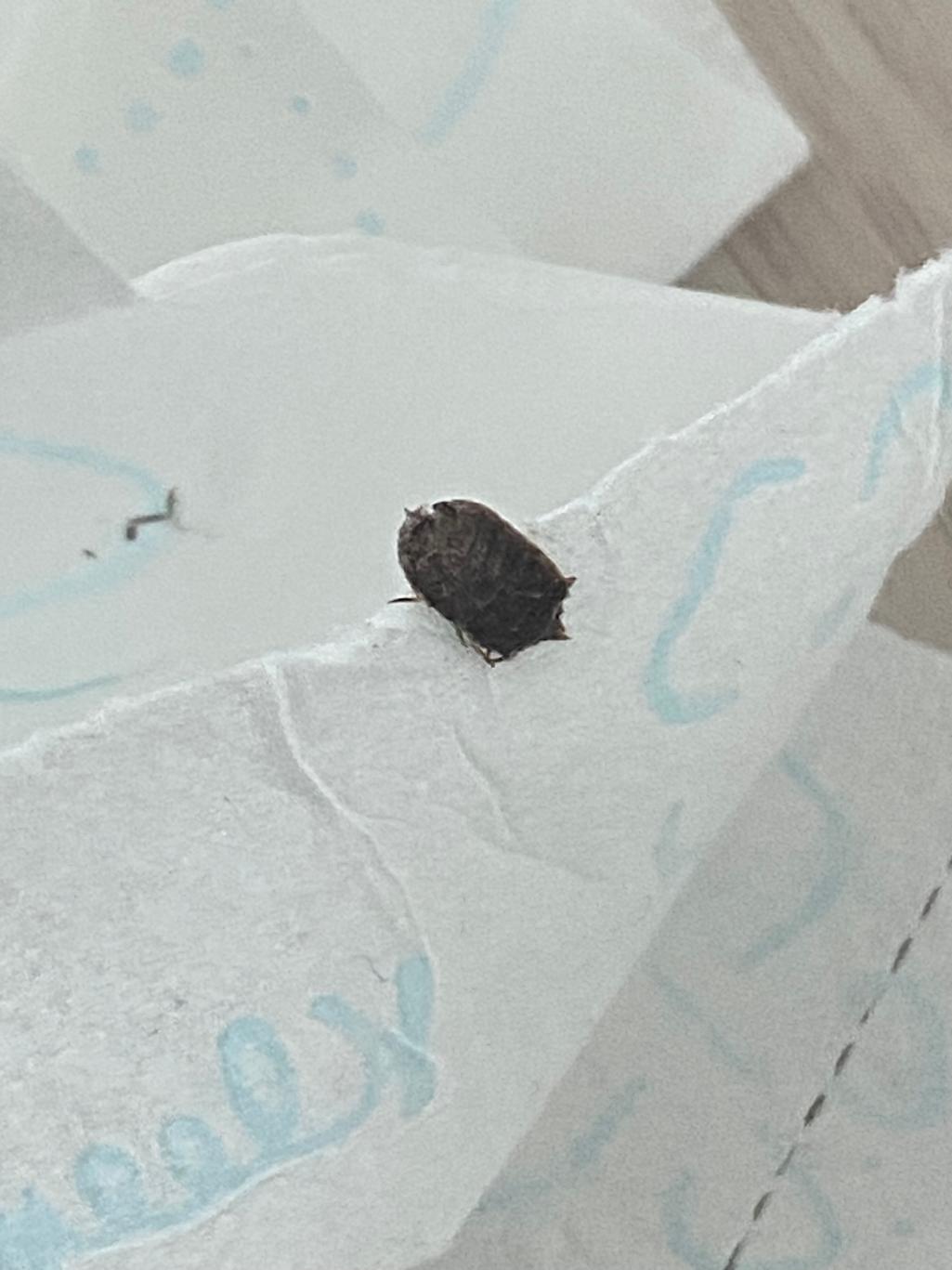 2번 째 사진