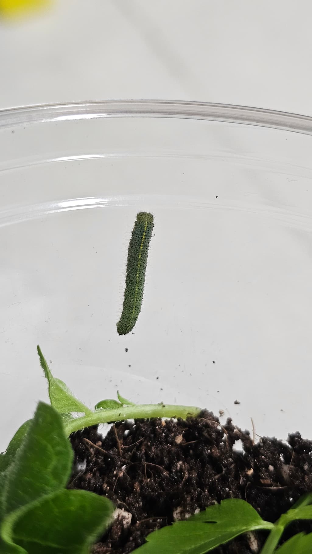 2번 째 사진