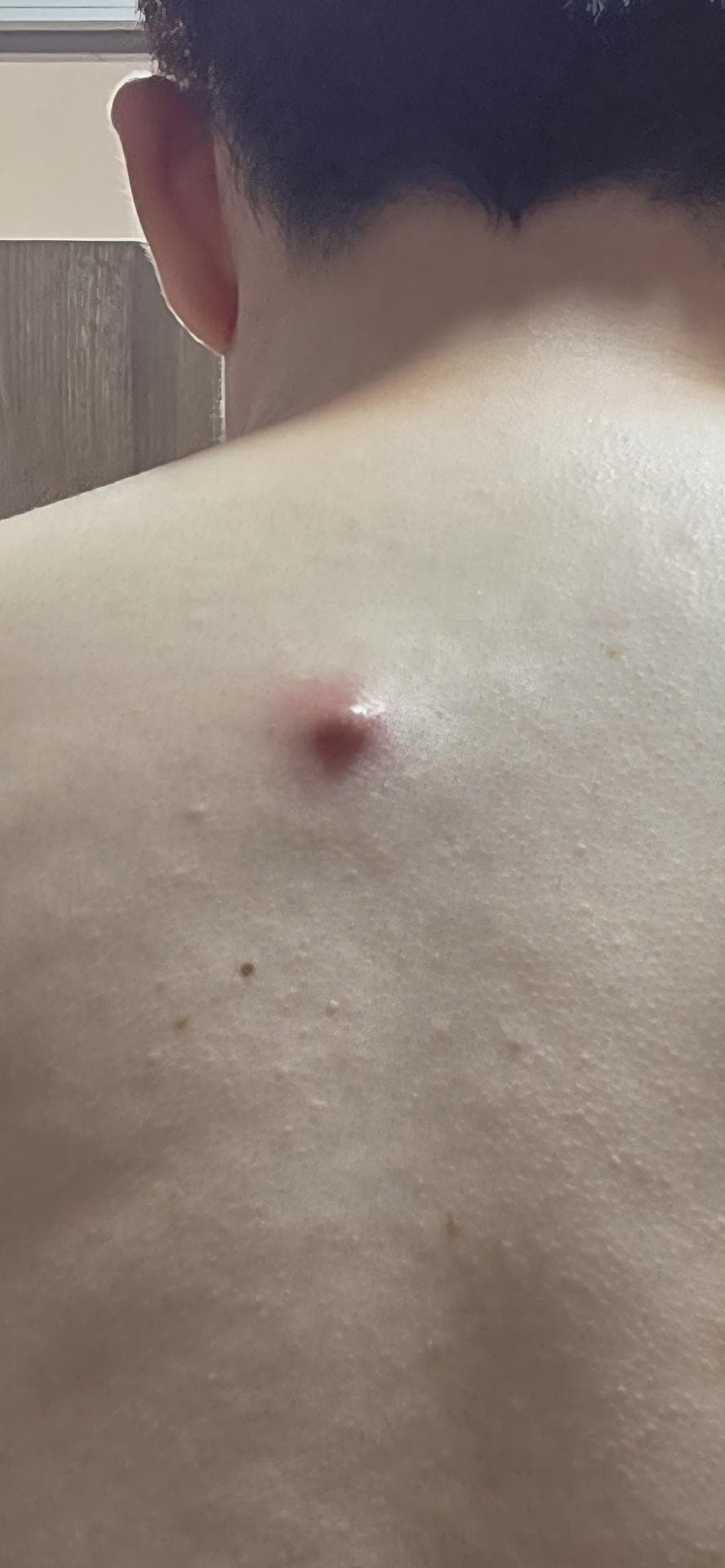 1번 째 사진
