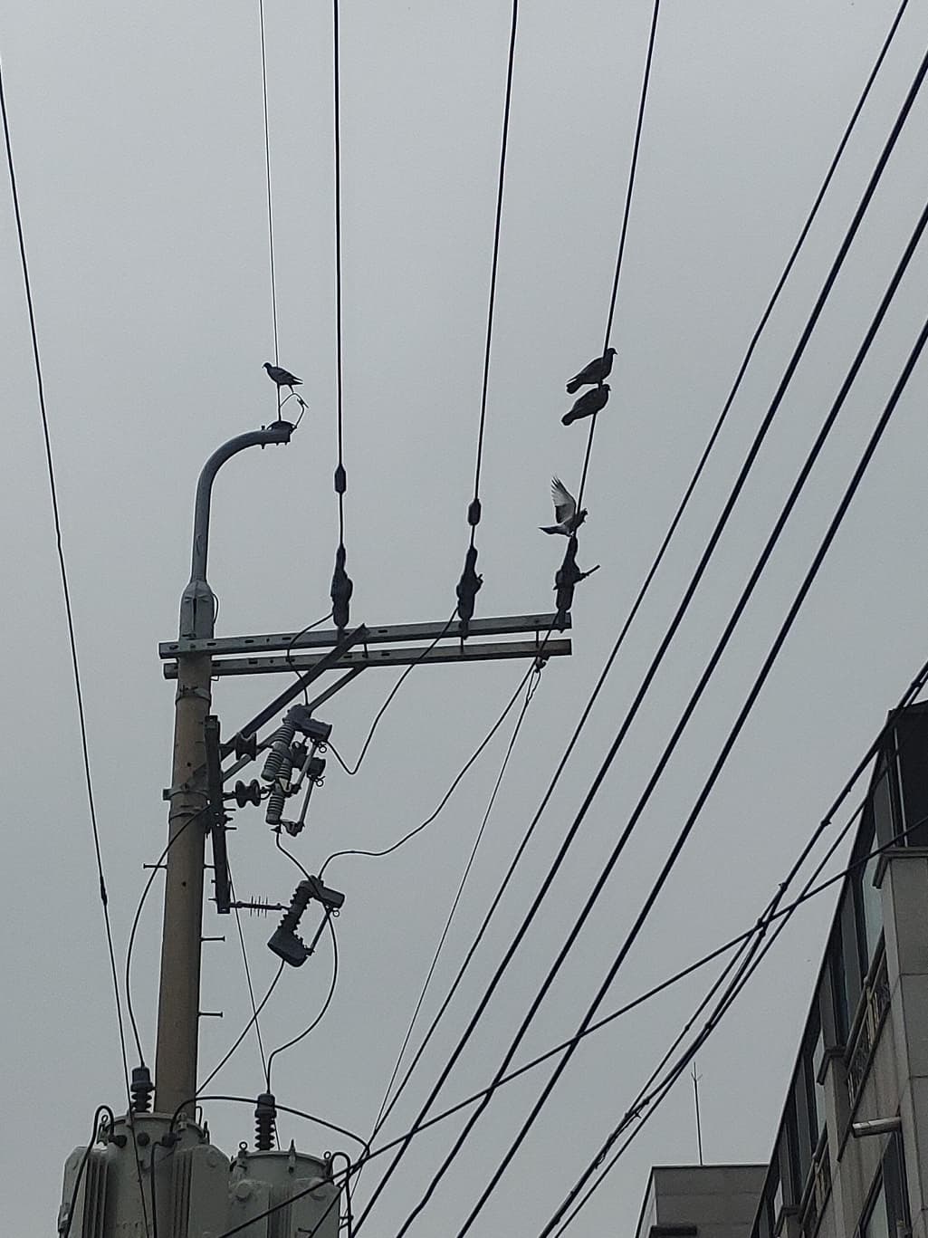 1번 째 사진