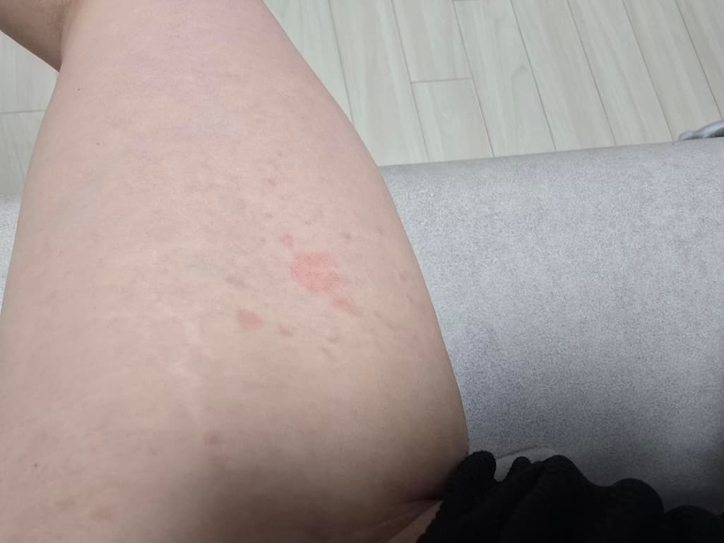 6번 째 사진