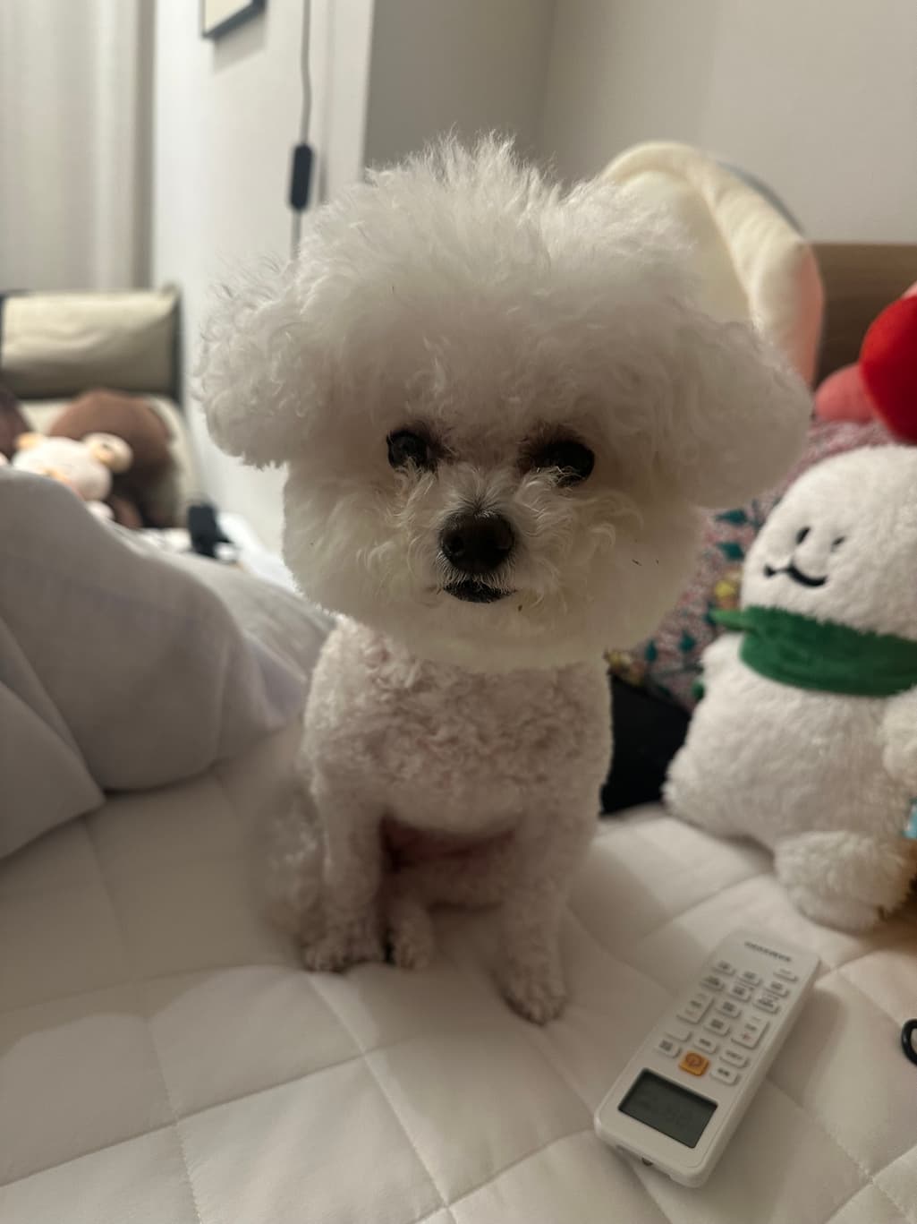 3번 째 사진