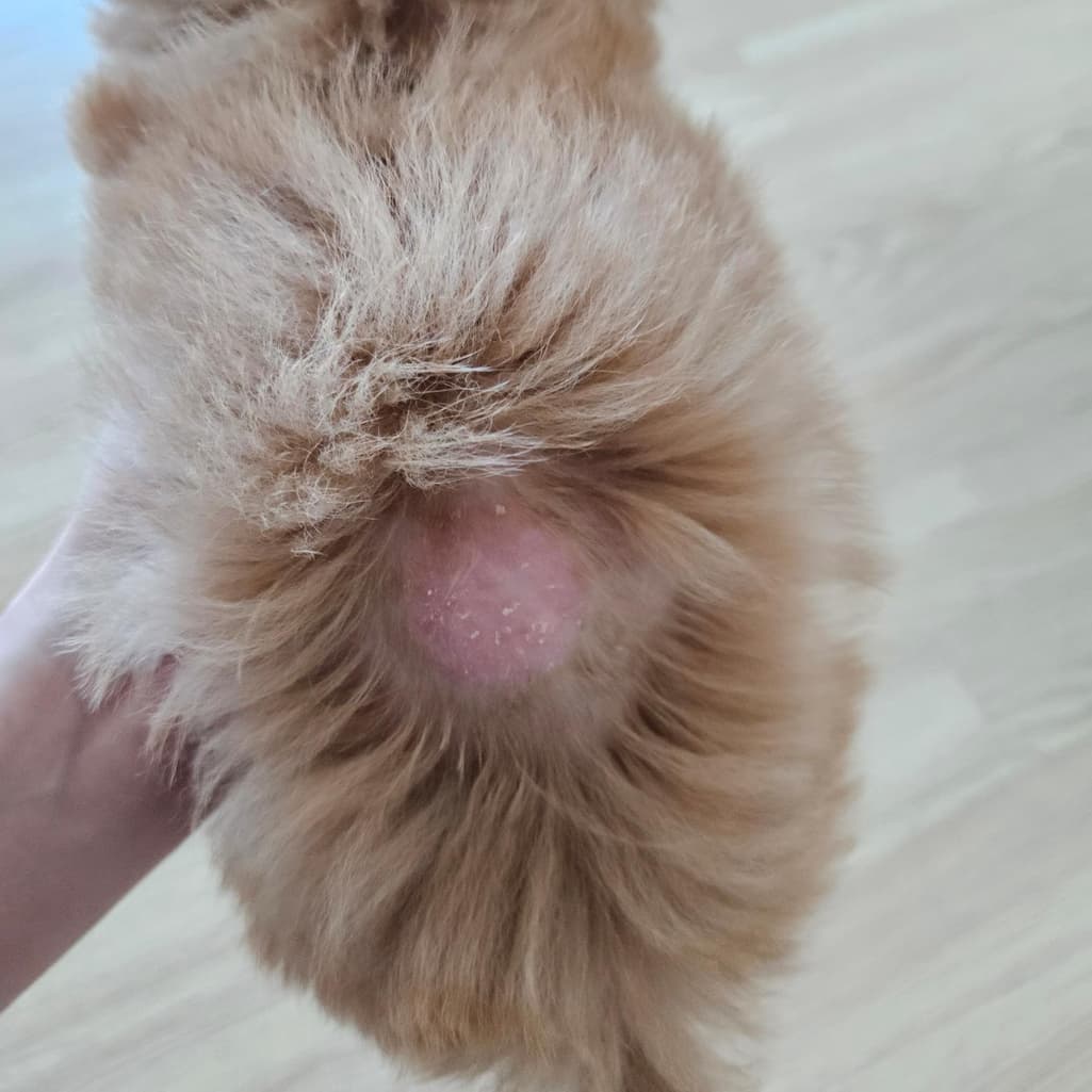 1번 째 사진