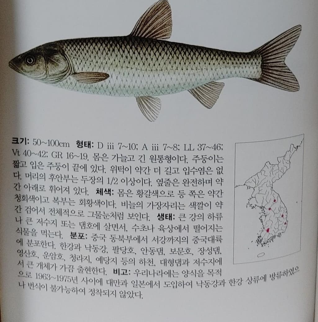 4번 째 사진