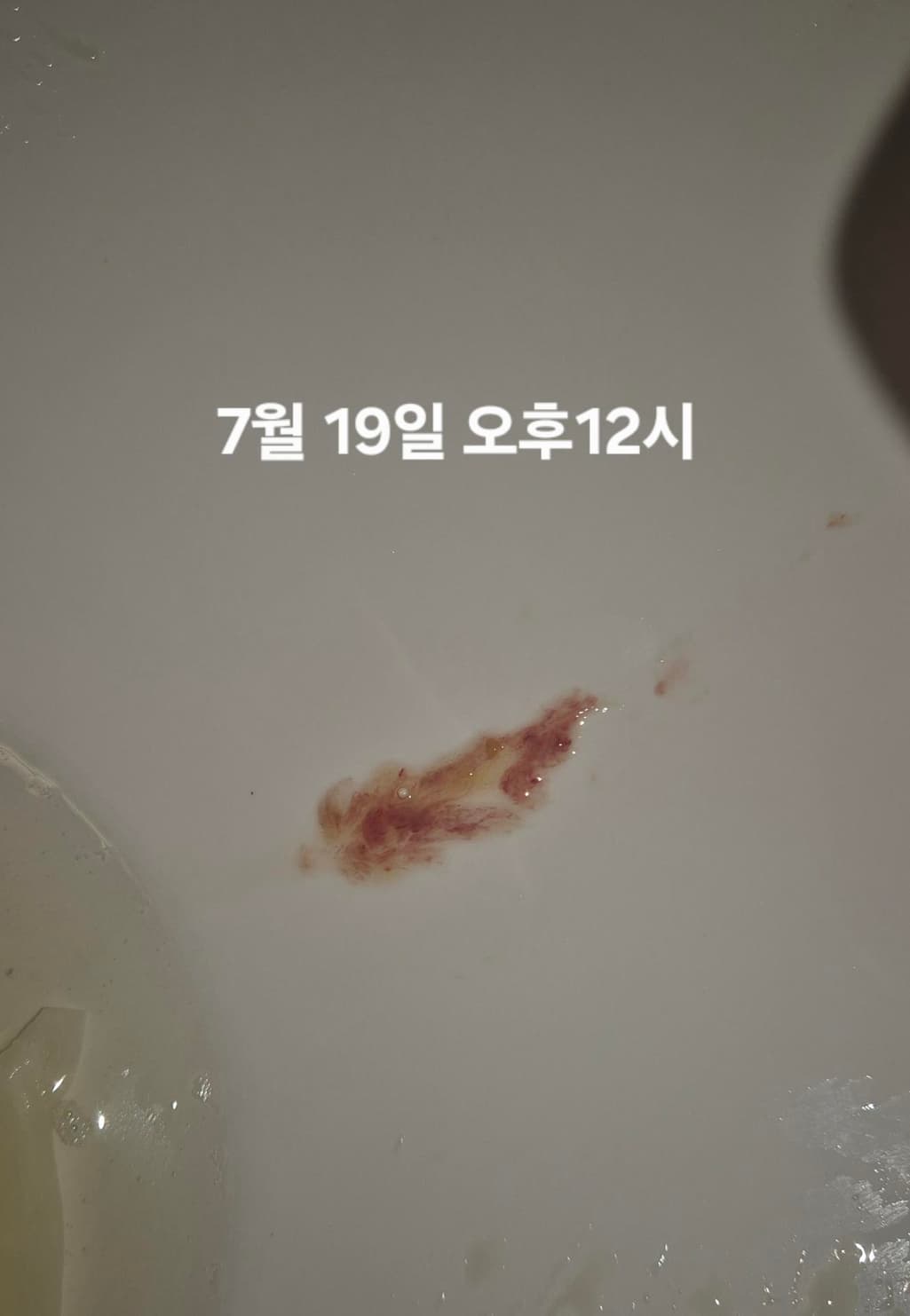 5번 째 사진