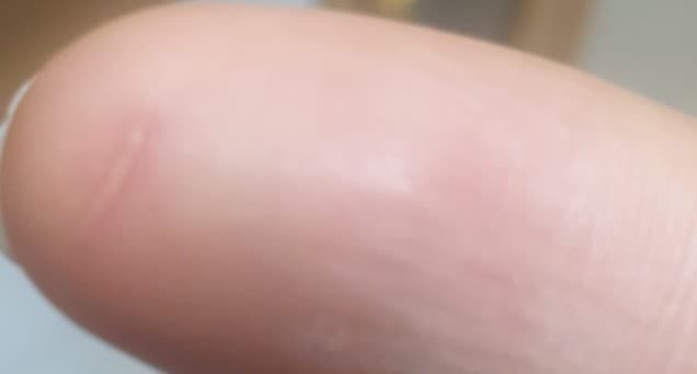 2번 째 사진