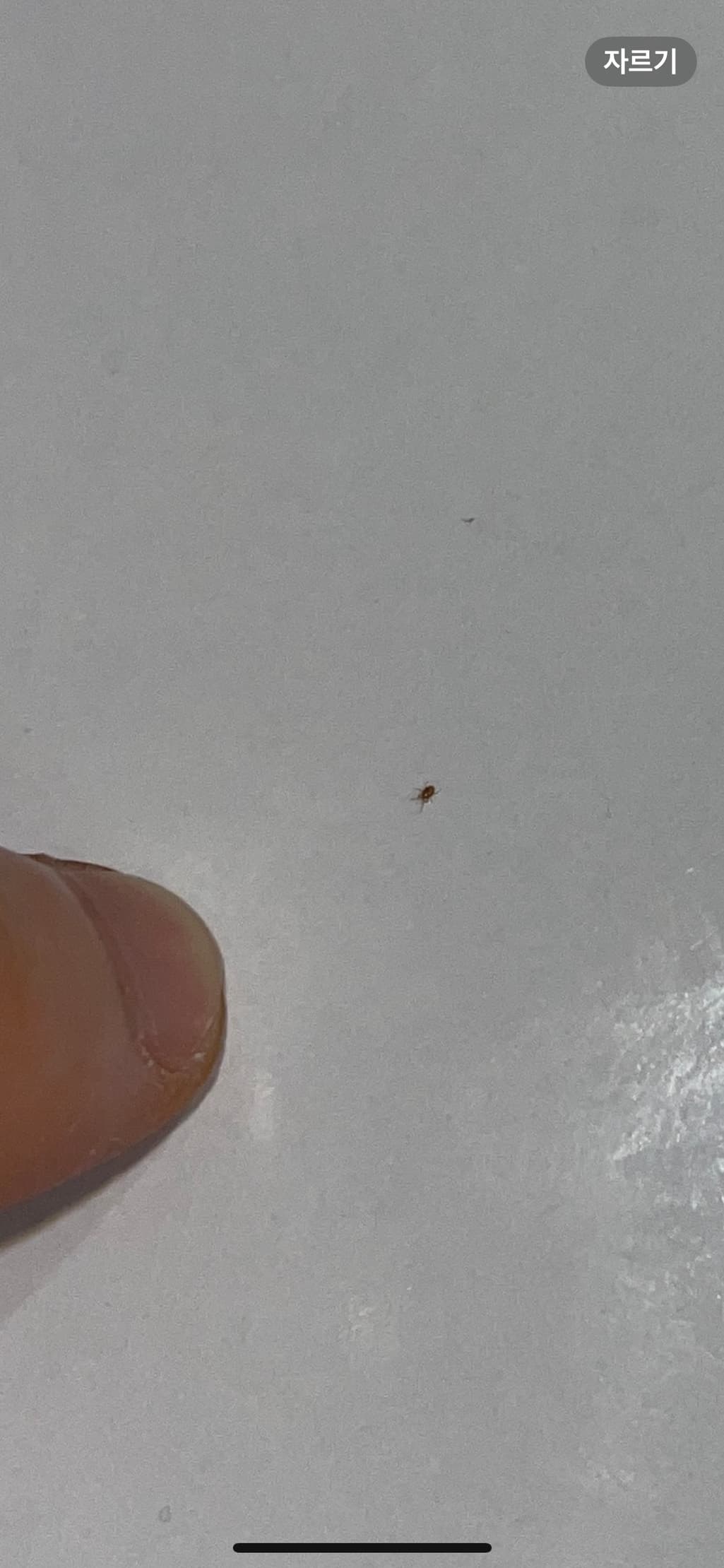 2번 째 사진