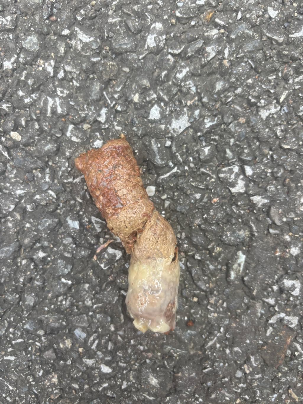 2번 째 사진