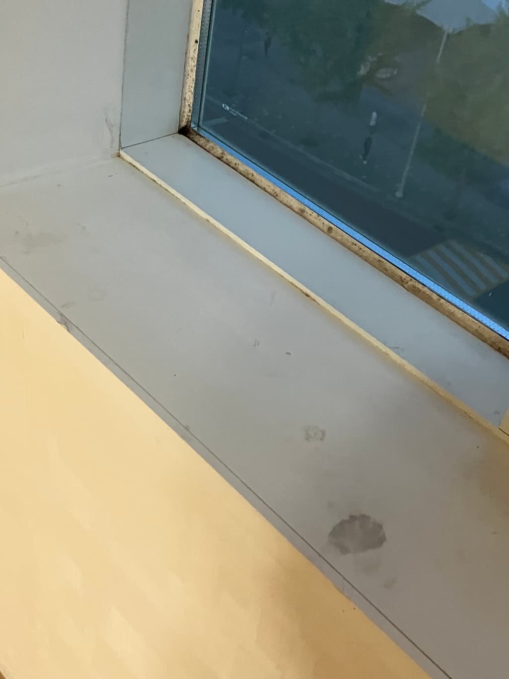 3번 째 사진