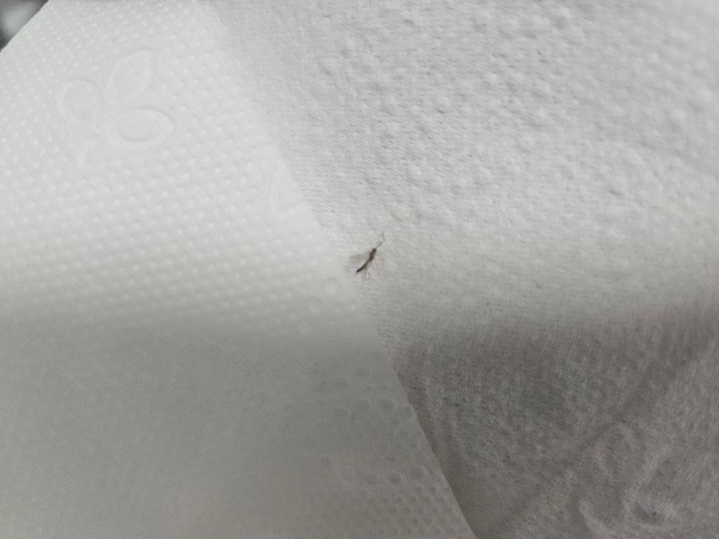 2번 째 사진