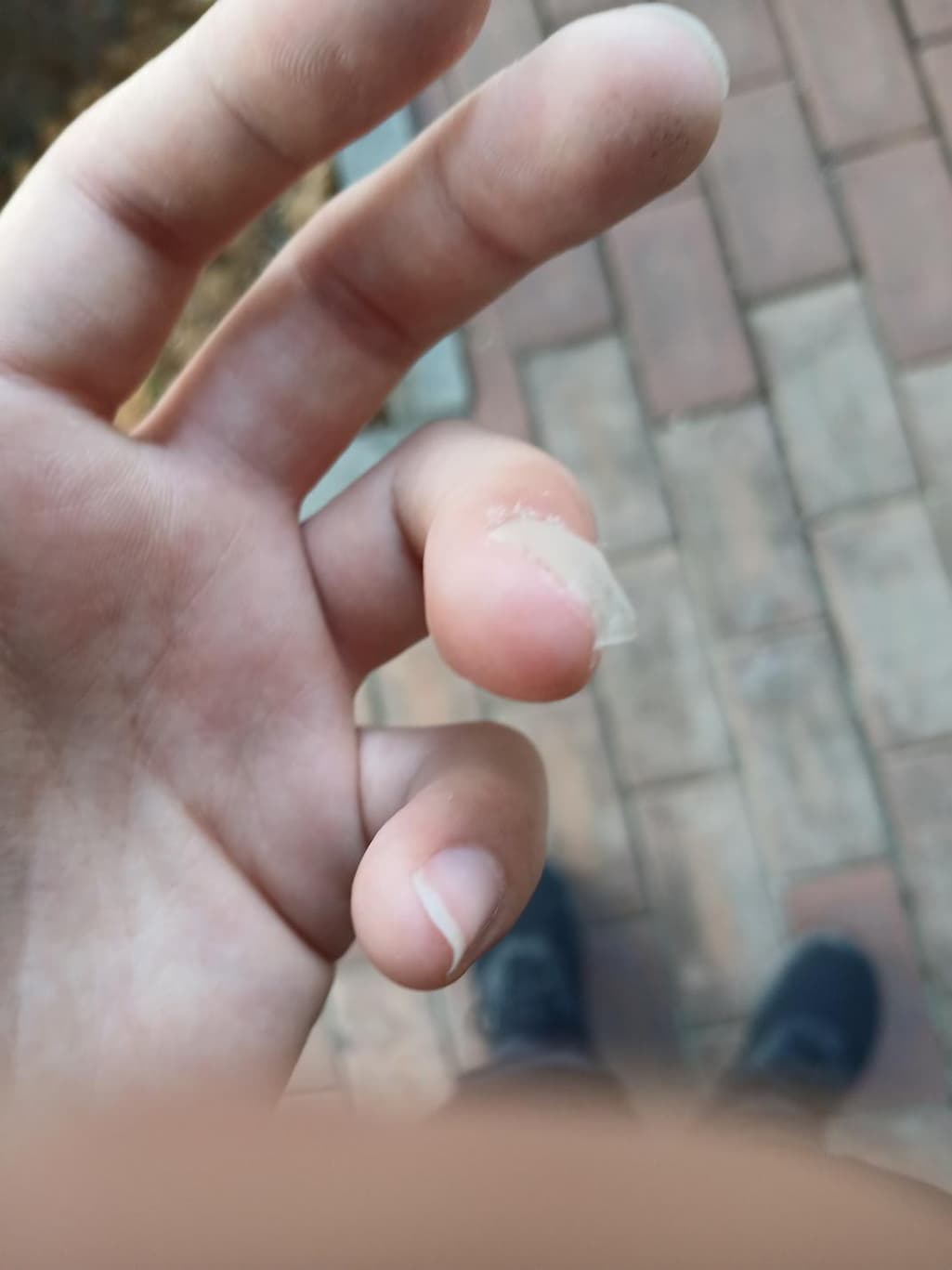 2번 째 사진