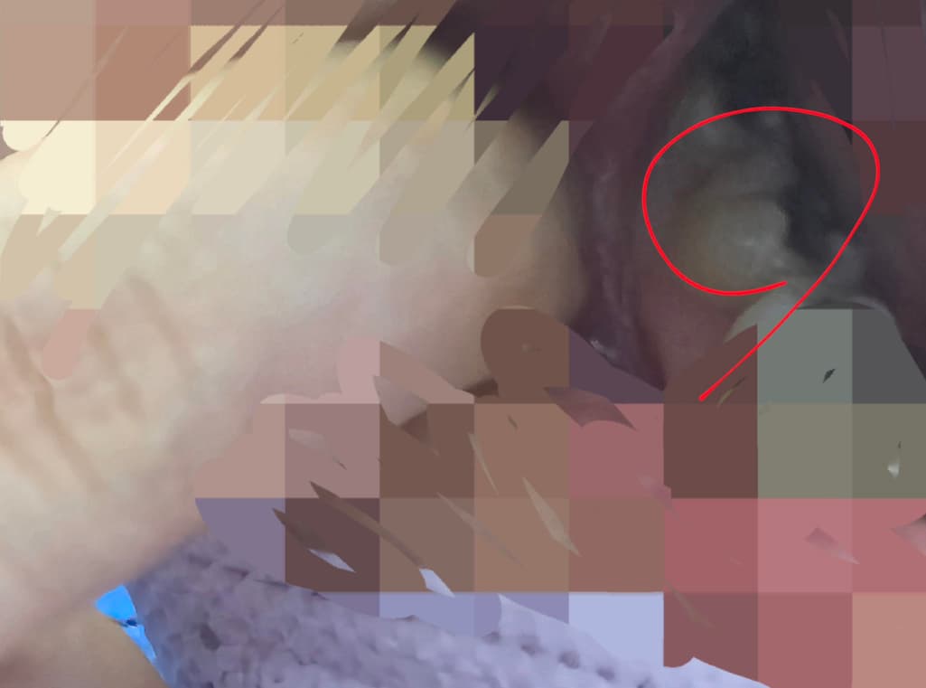 2번 째 사진