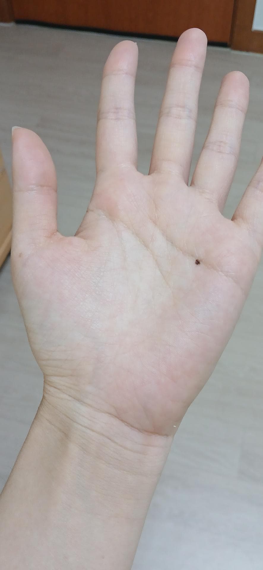 3번 째 사진