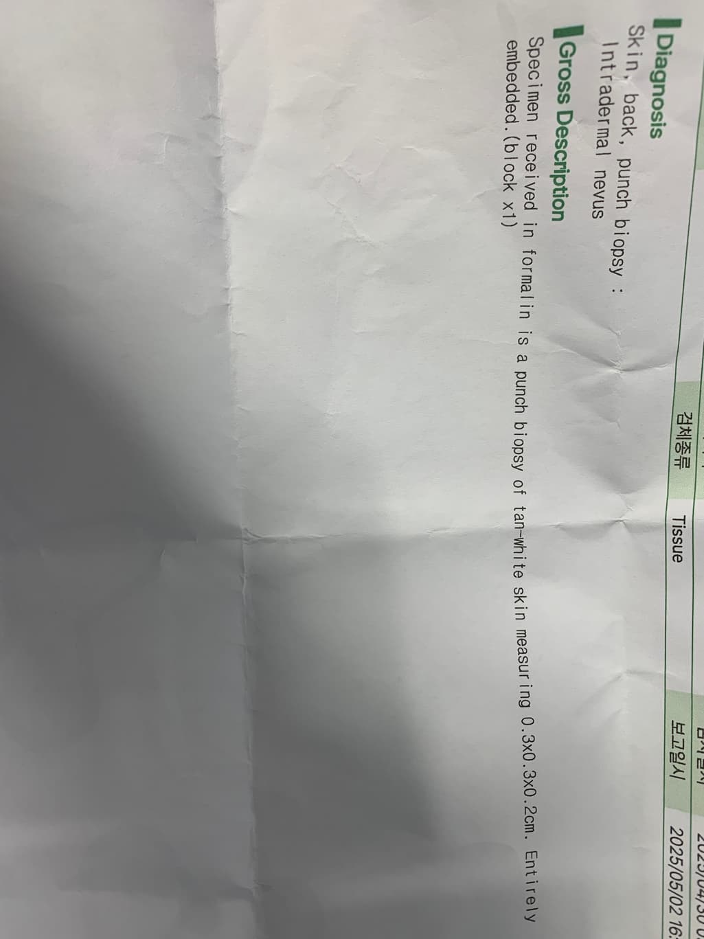 1번 째 사진