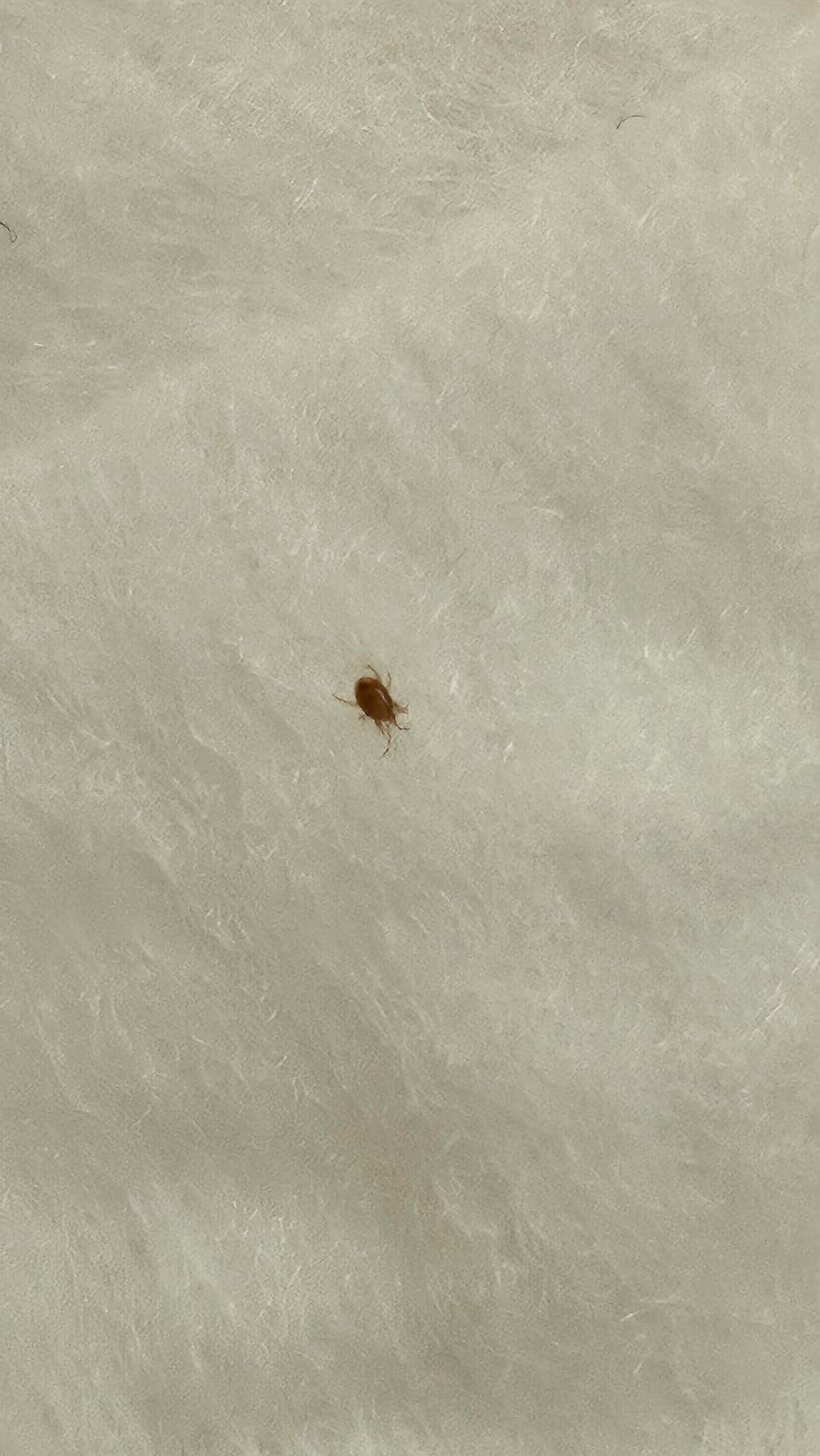 4번 째 사진