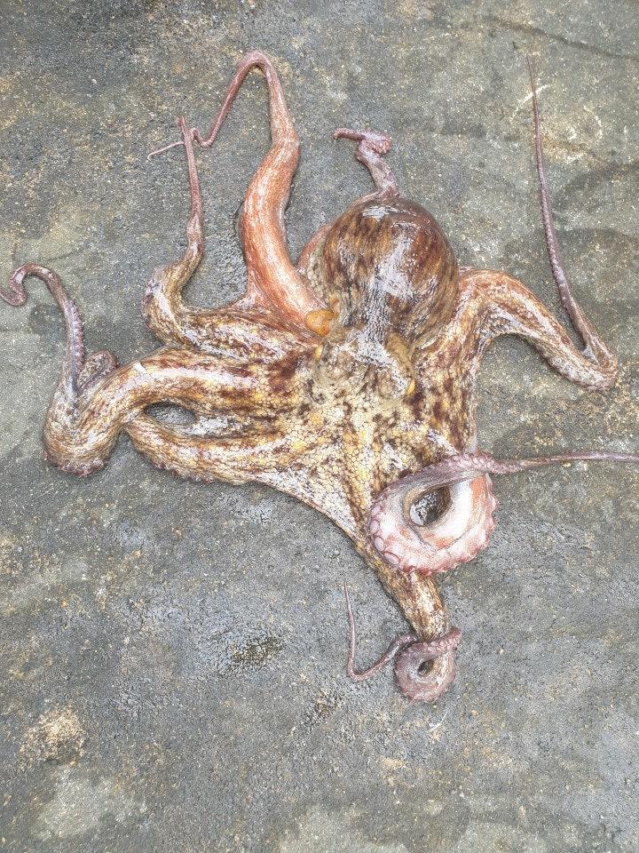 4번 째 사진