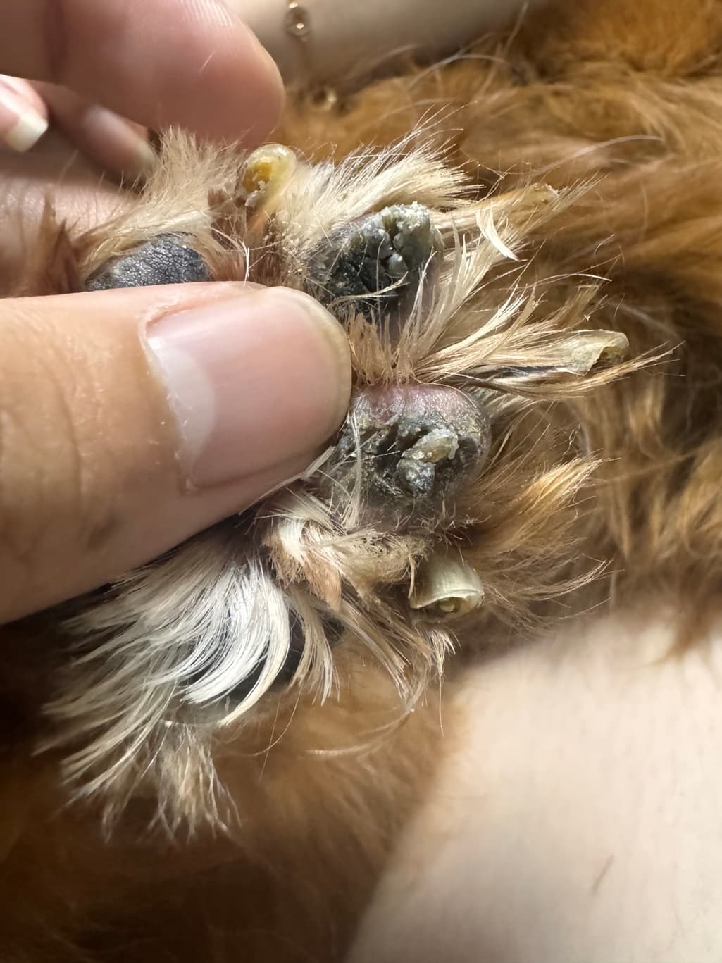 1번 째 사진