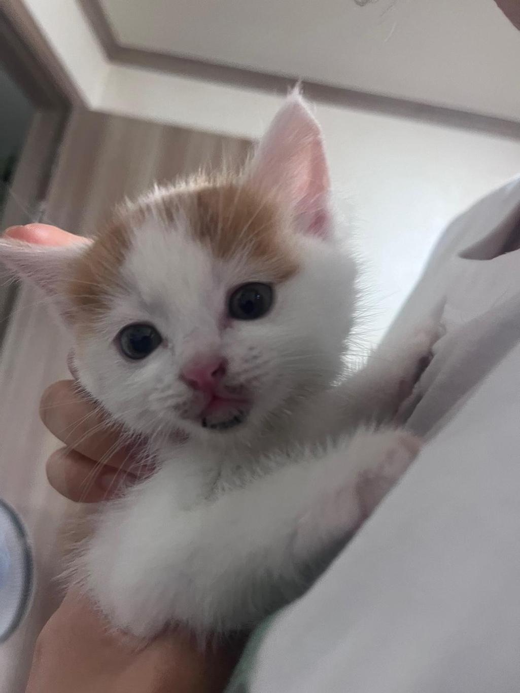 1번 째 사진